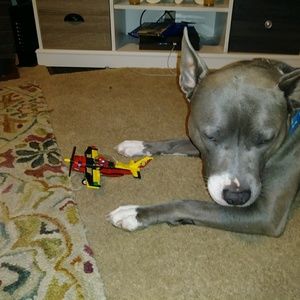 Meet your Posher, Natalie